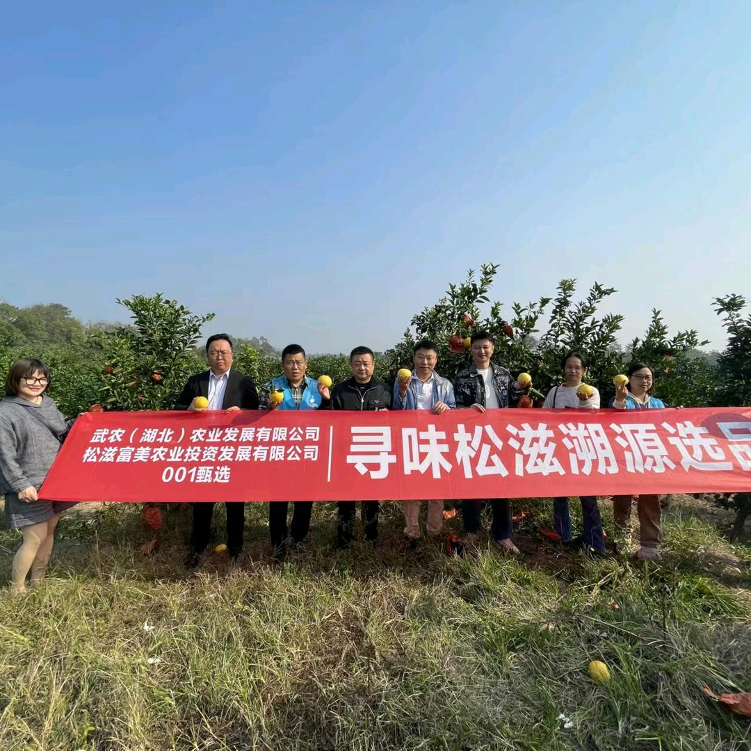 武汉快慢供应链管理有限公司
