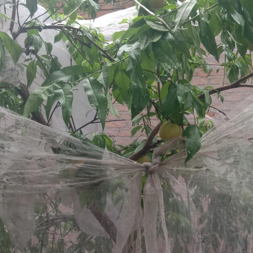 放过你，不等于忘记你！