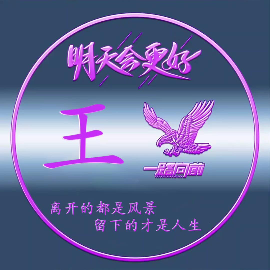 陕西达西利云网络科技有限责任公司.