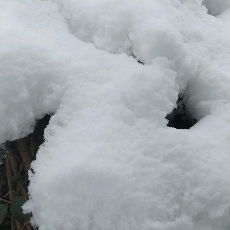 寒冬的雪