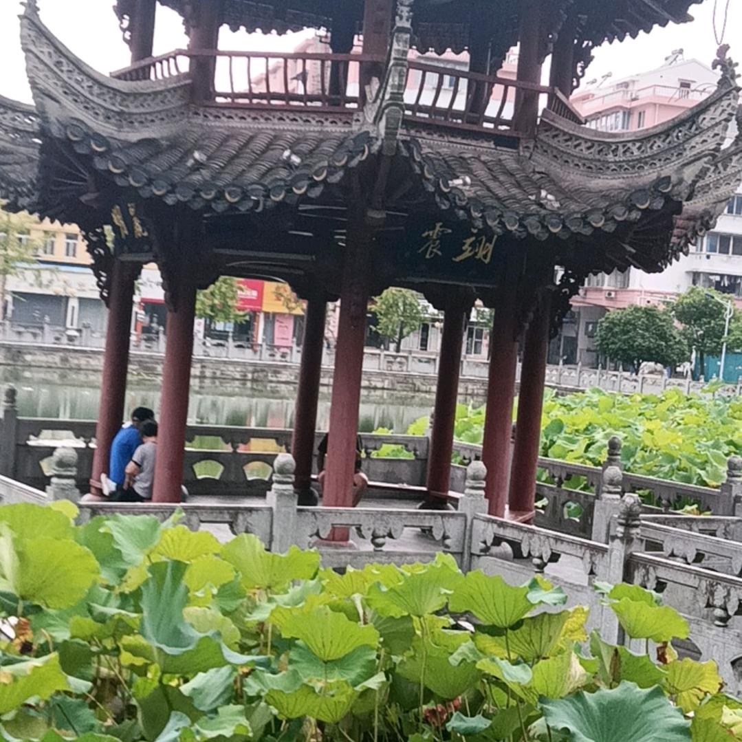 用户1232991927405