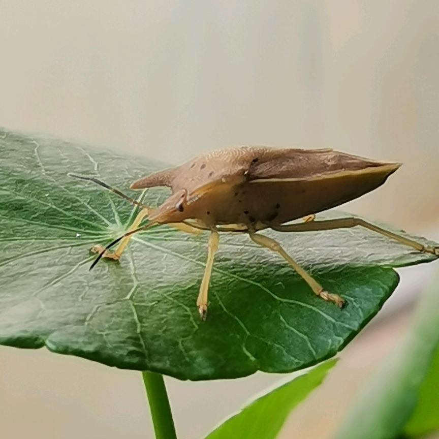 ꧁💞冷暖自知💞᭄᪲ᩚ꯭ᩚ꧂