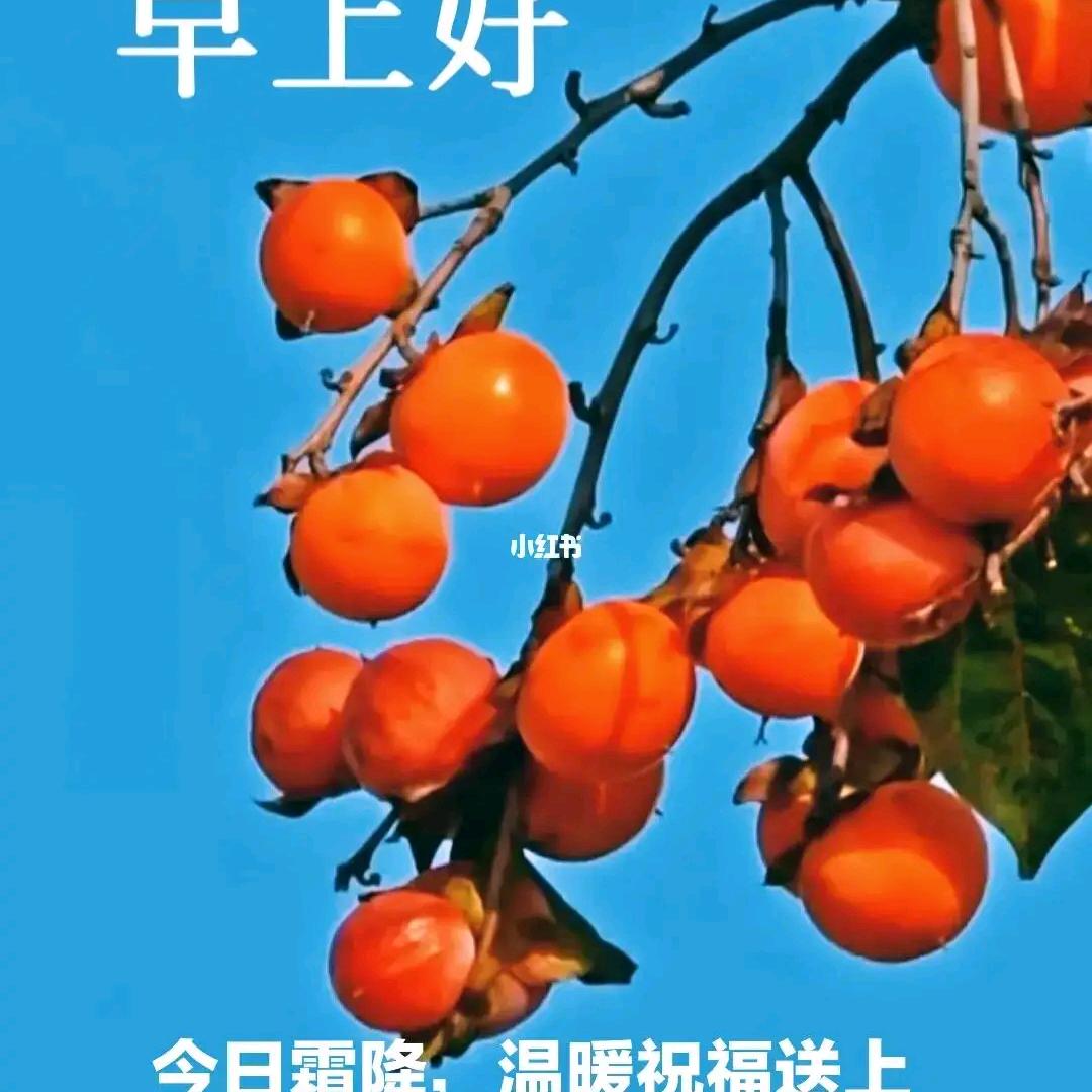 斌哥[云南(山旯旮)助农