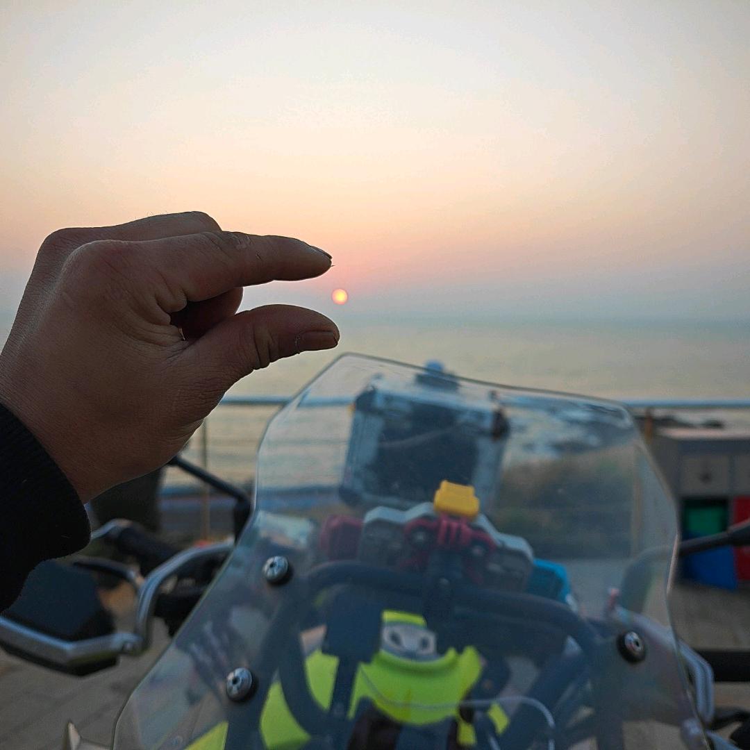 骑🏍️摸斑鸠
