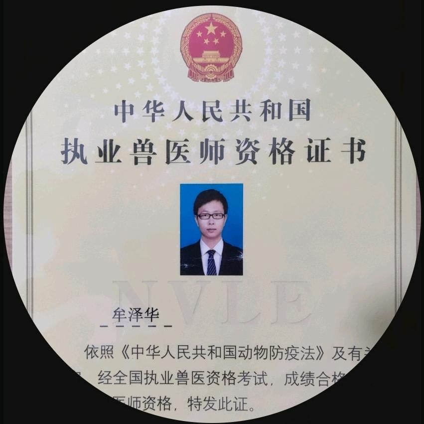 牟老师聊蛋鸡
