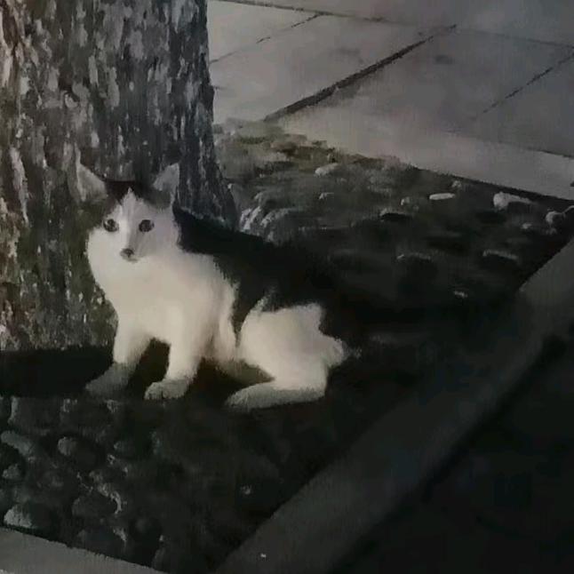 往事清零