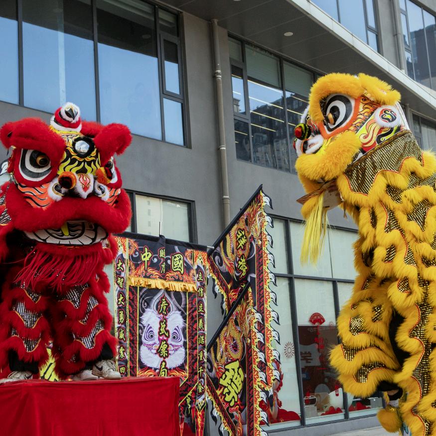南阳市社旗县广盛镖局龙狮团