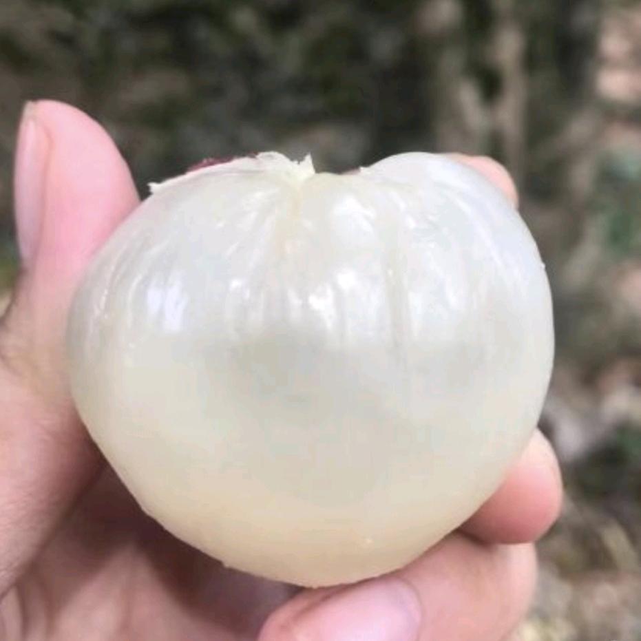 枝头果鲜