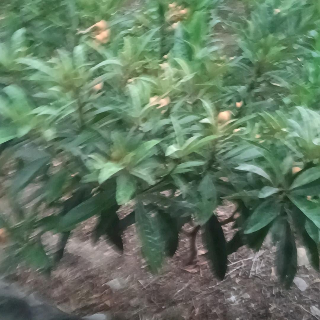 心动行动