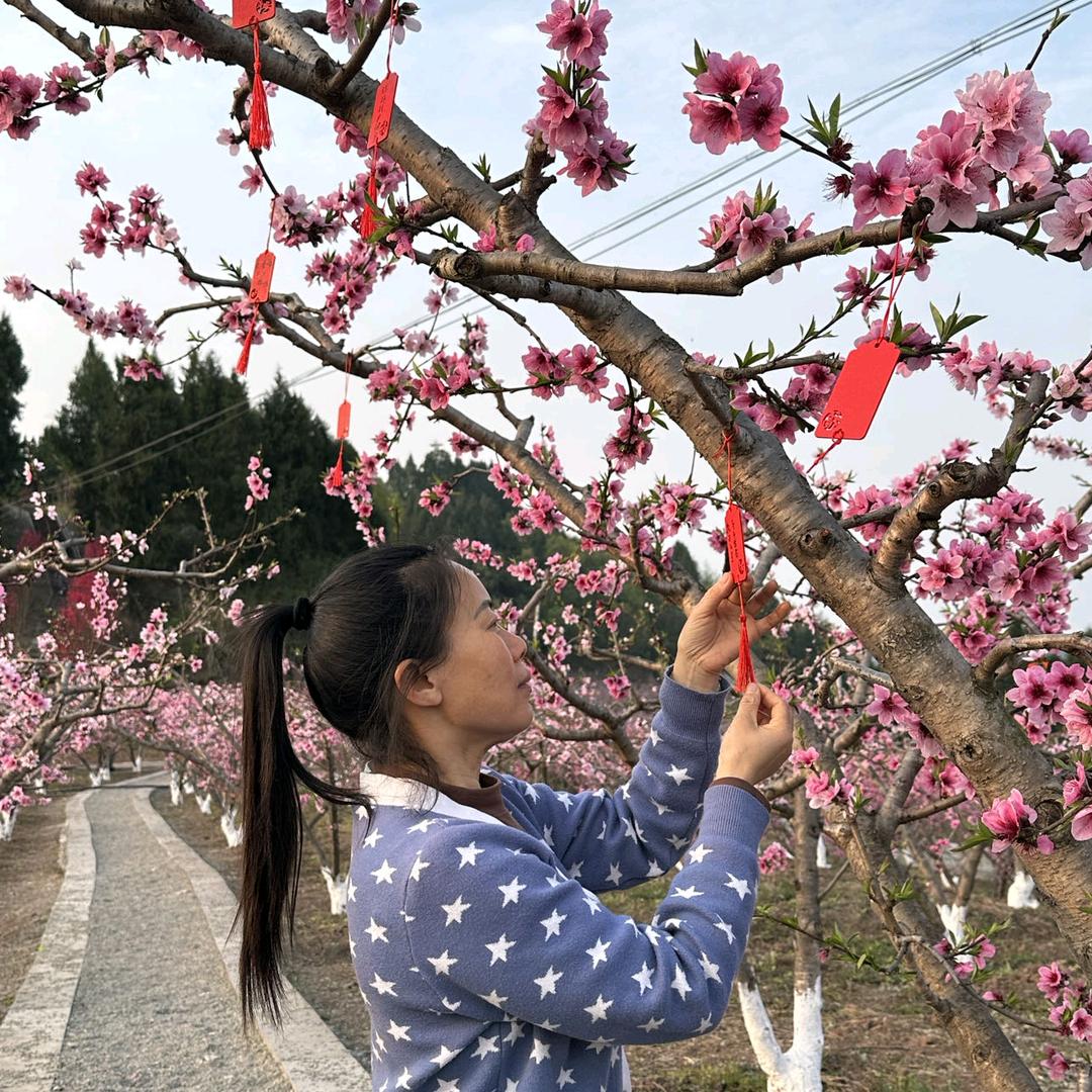 又新电信营业厅
