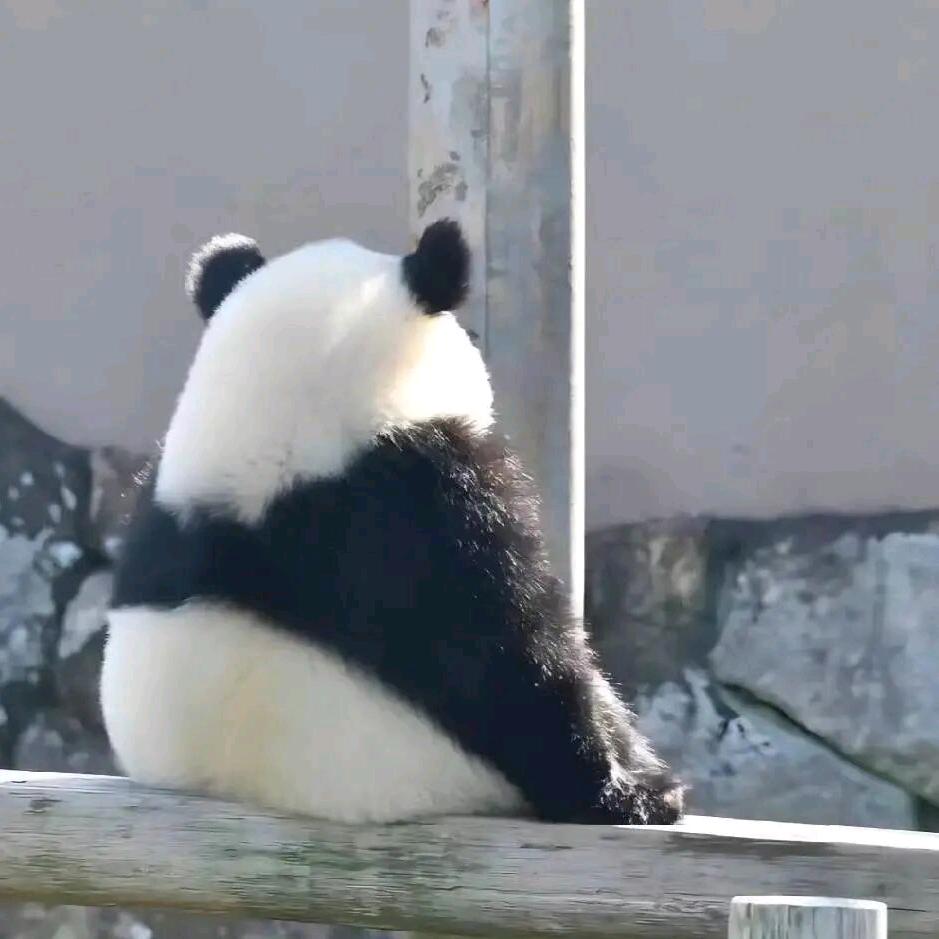 ⁺༻ʚ།一梦浮生།ɞ༺₊