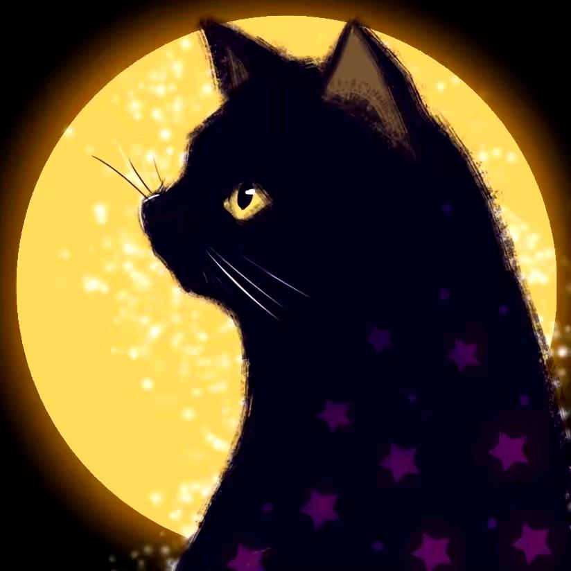 黑猫剧场