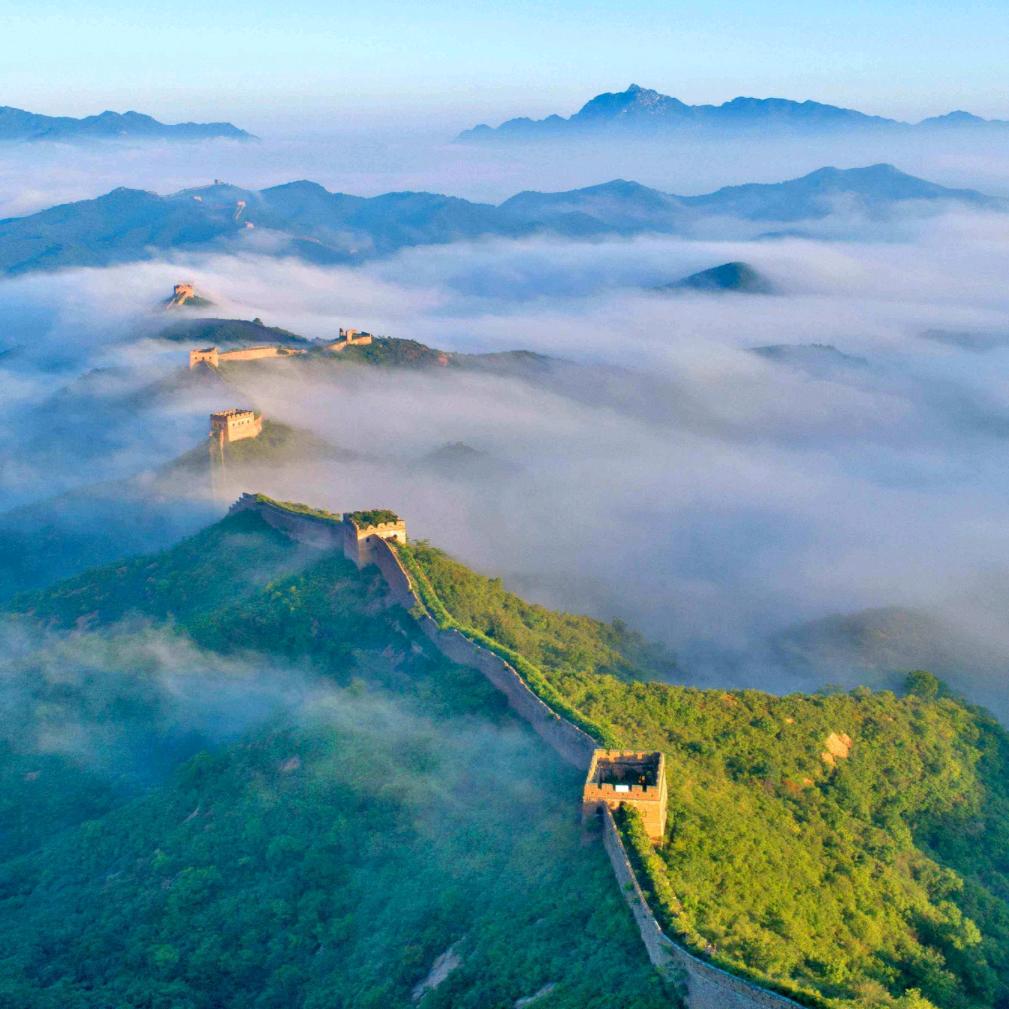 小阿宝