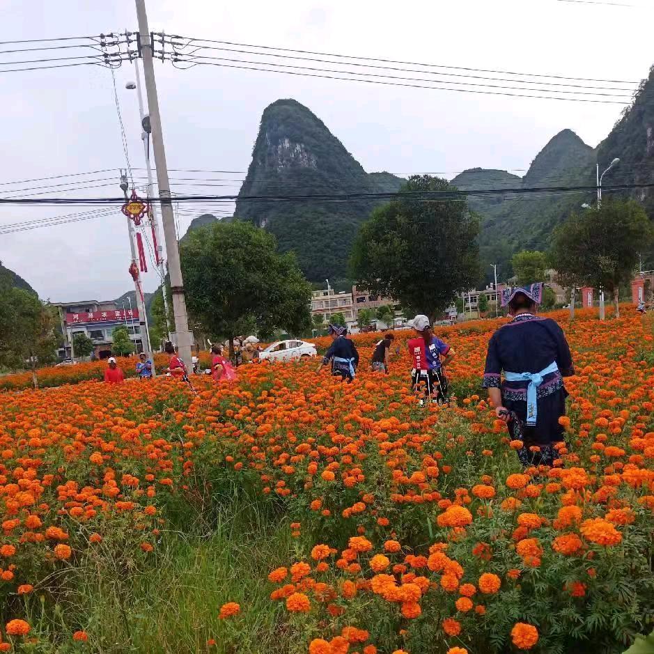 我爱家乡