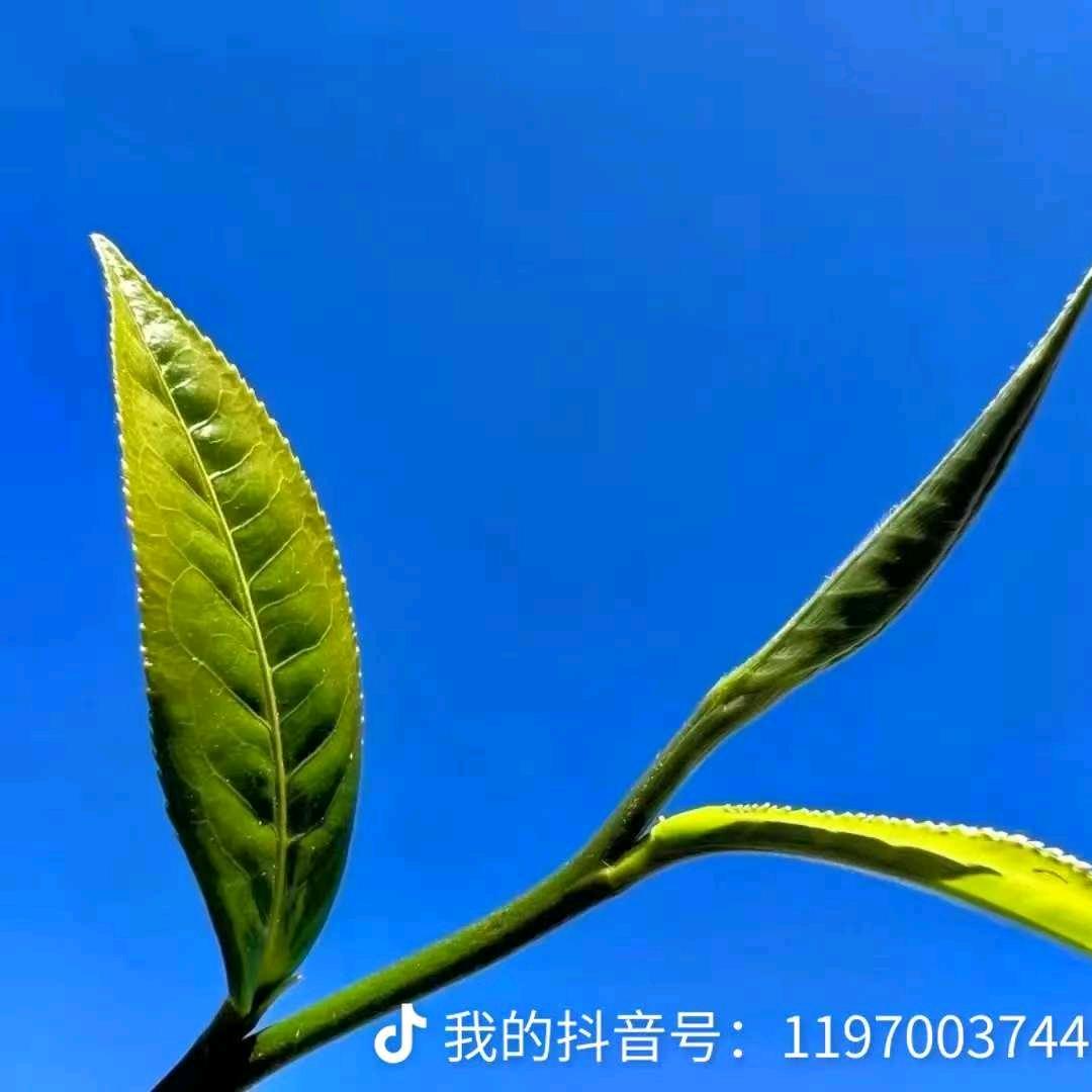 Nᰔᩚa✧