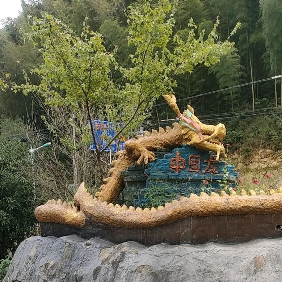 龙的传人朱半仙👻