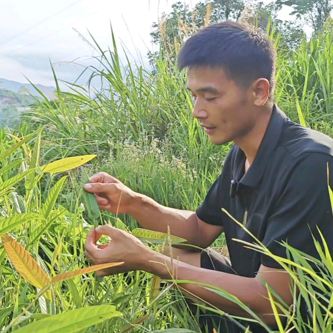 东田青草堂☞奇胜⁷⁷