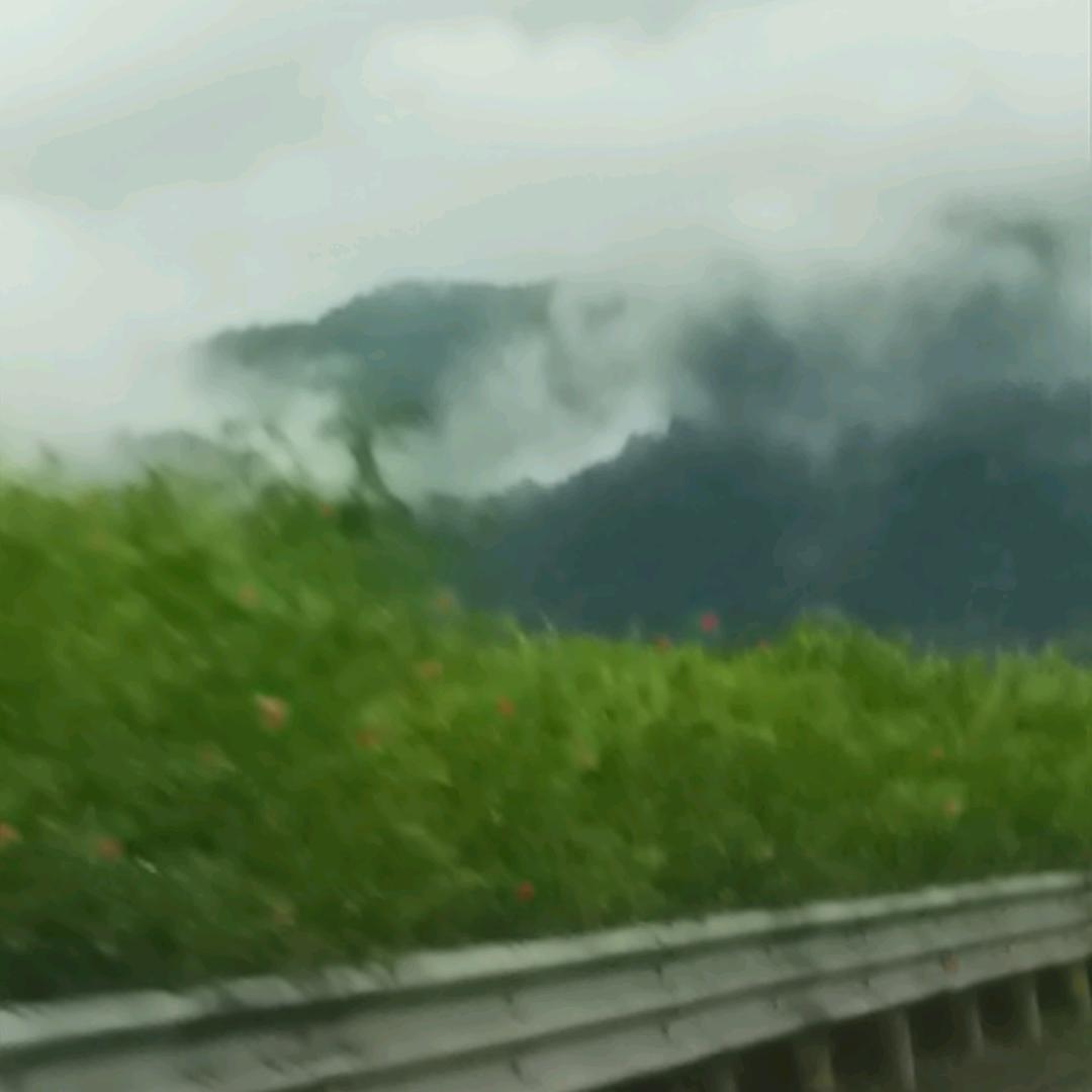 清风明月