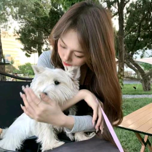 《丹凤王平姐妹鼓舞》蝶恋花