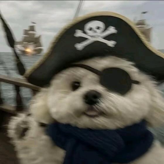 H·