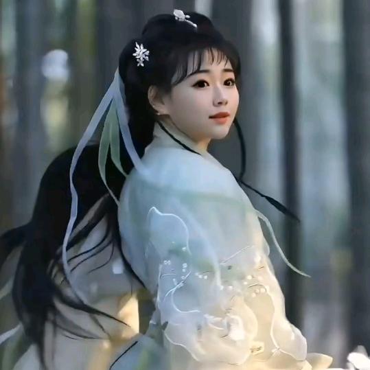 睡莲花。