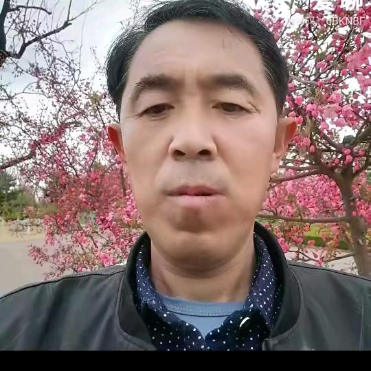 才哥牛早上5点30，（才哥牛助力号）