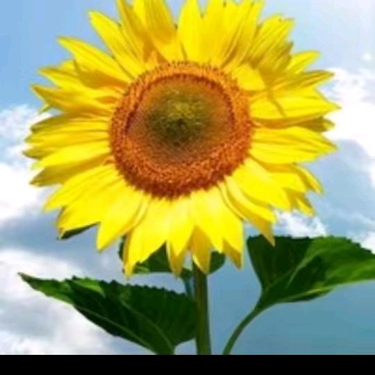 知足就好💅💅