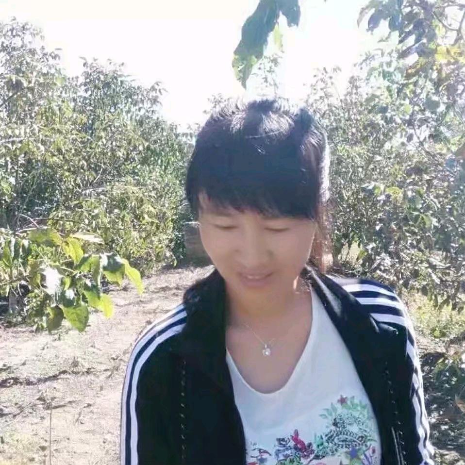 孔雀鱼