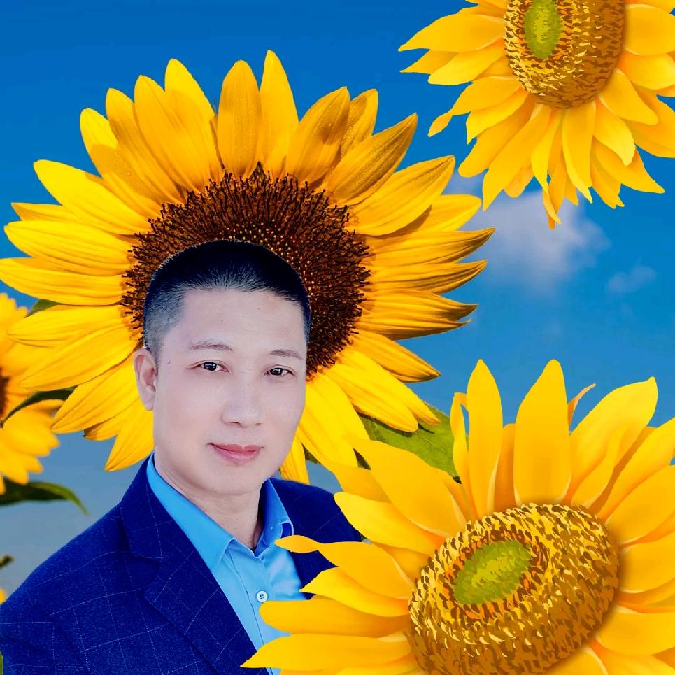 王晓君