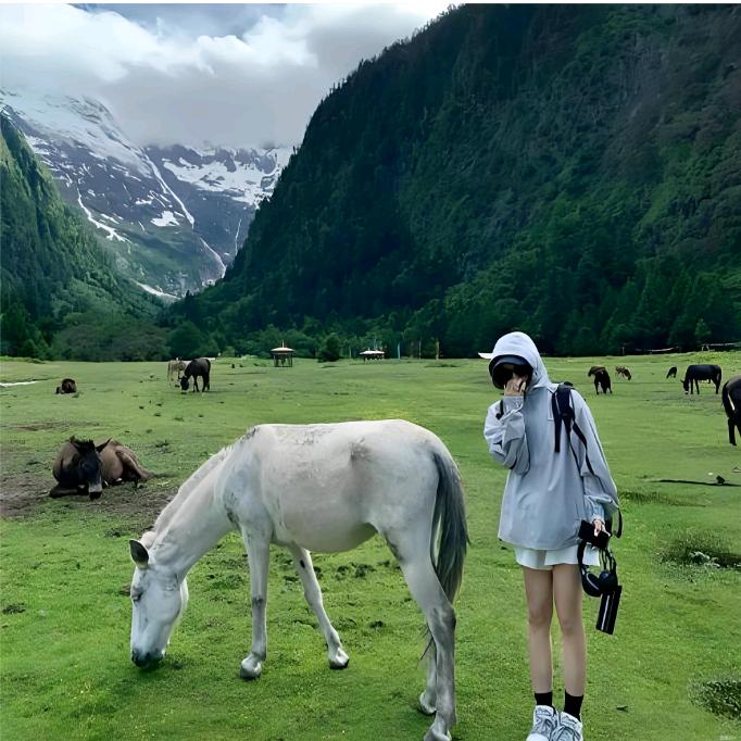 天中旅游--莉莉