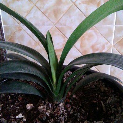 🍁余生🍂随心🌹