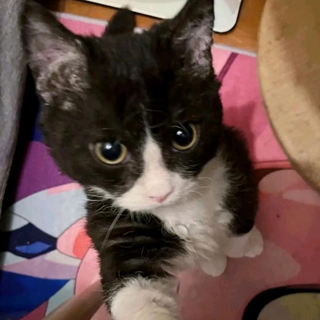 小王