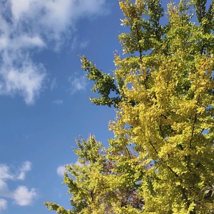 原来我是摩羯座。