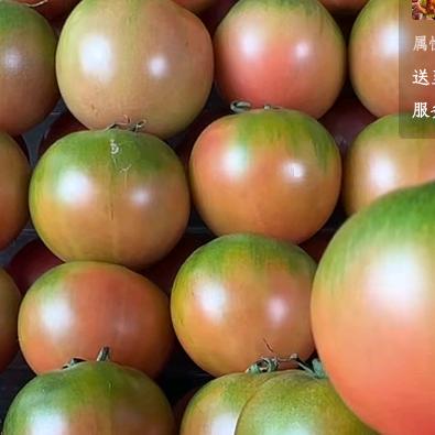 镇集体农场