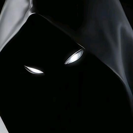 小✨️野✨️狼🐺