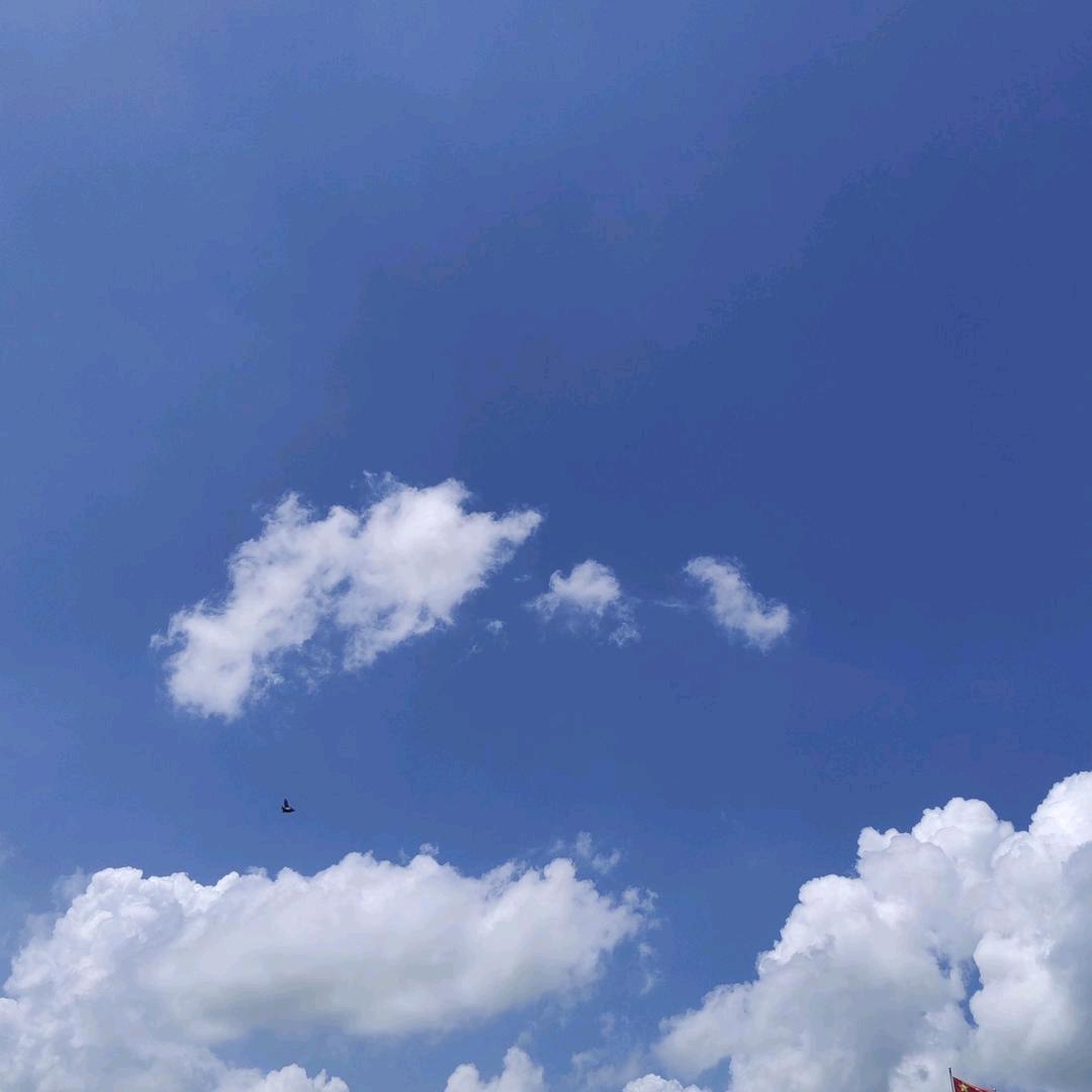 宿先生