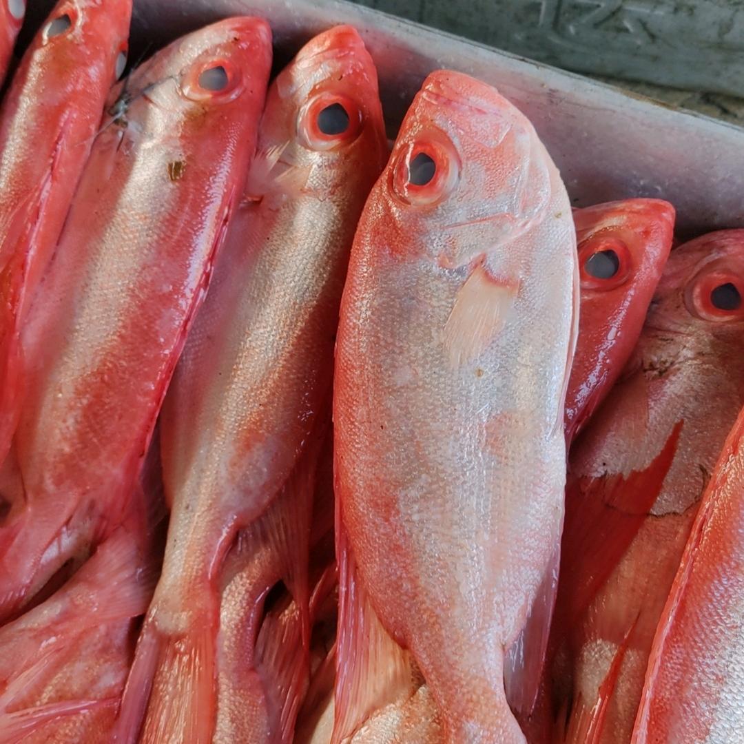 码头小黑海鲜特产