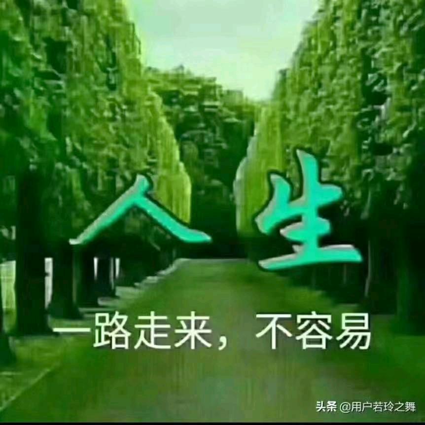 南柯@忆/江南一梦