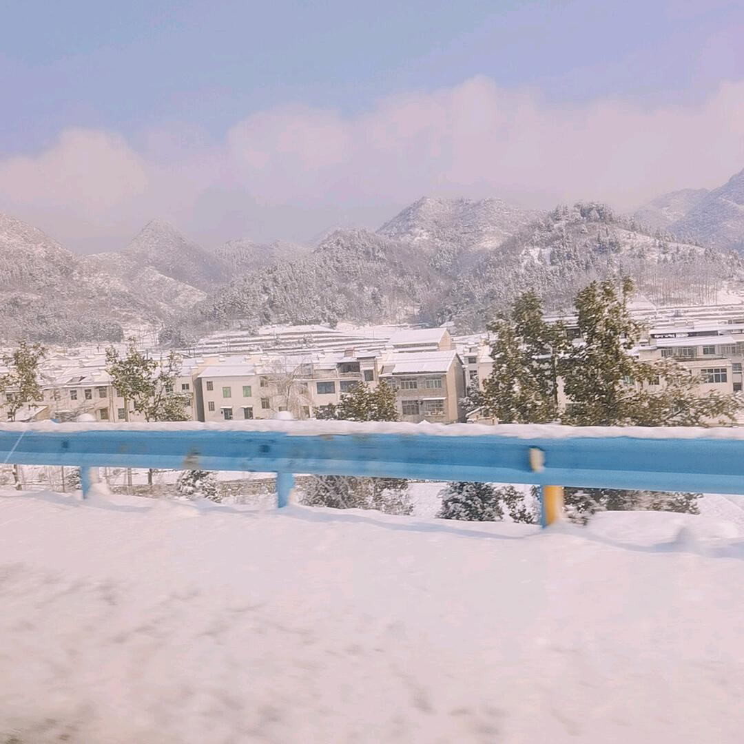 🌿ლ兰花🍀🌺