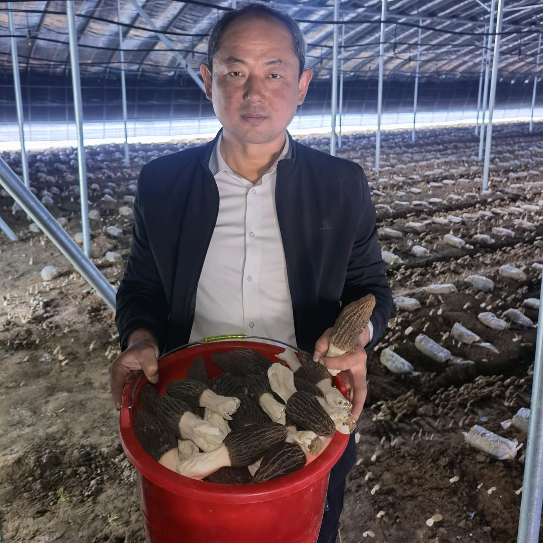 “菌瓜菜”书记