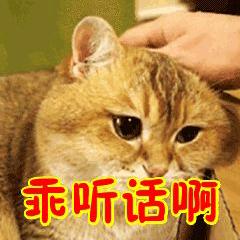 娜娜