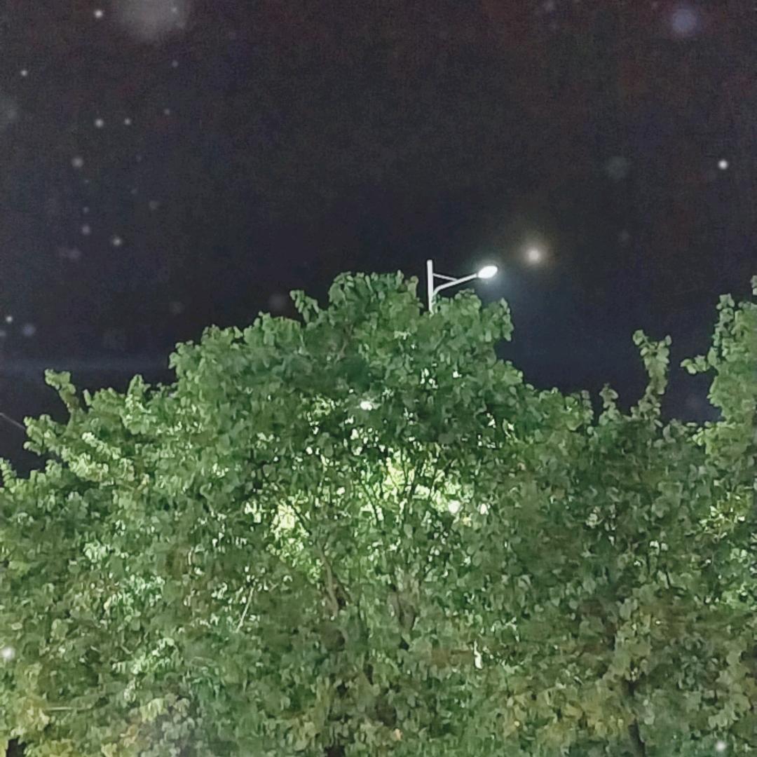 雨茜