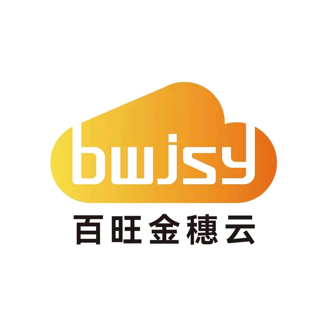 莱芜百望(记账报税)