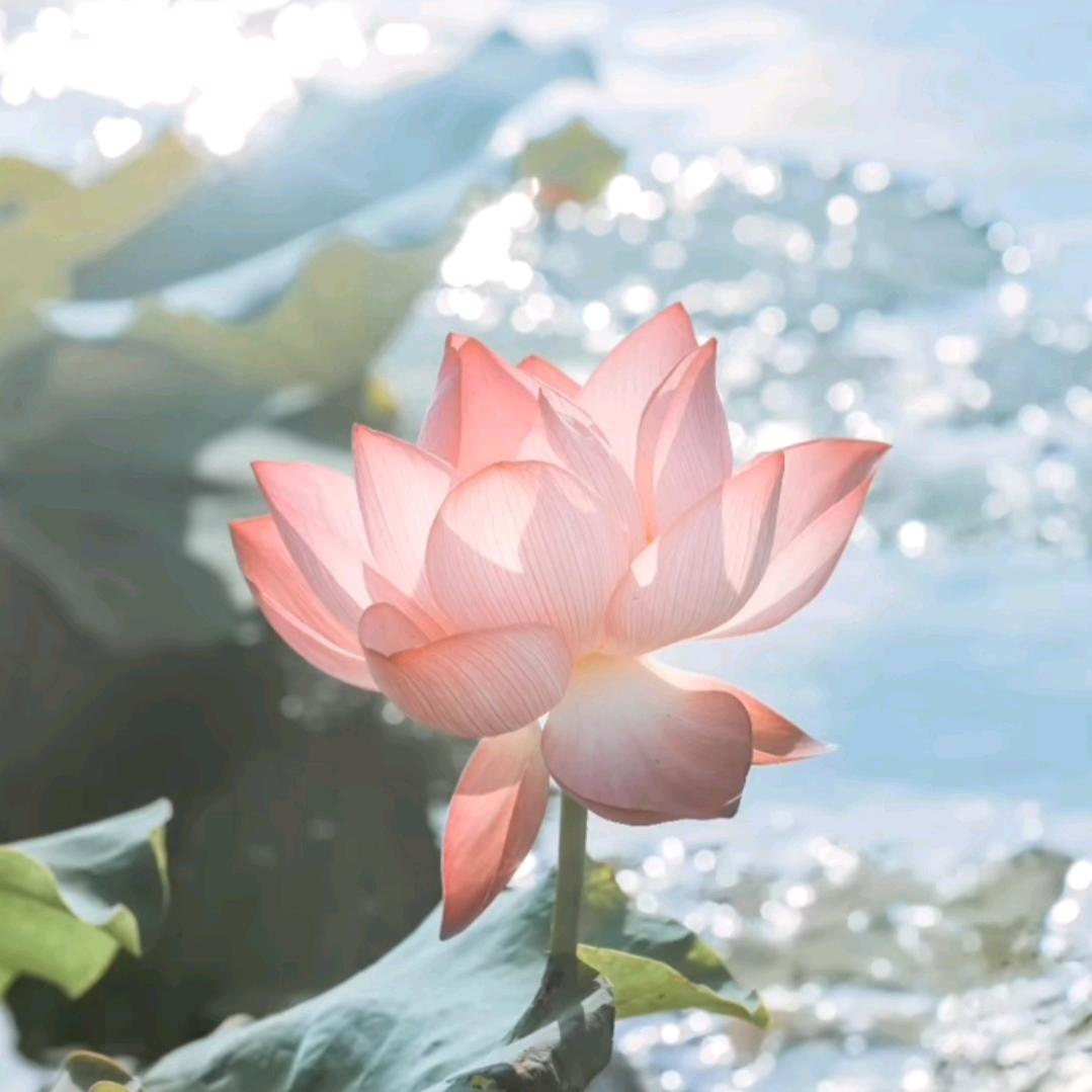 付