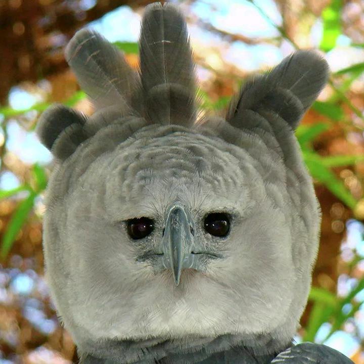 梦想远方不可及