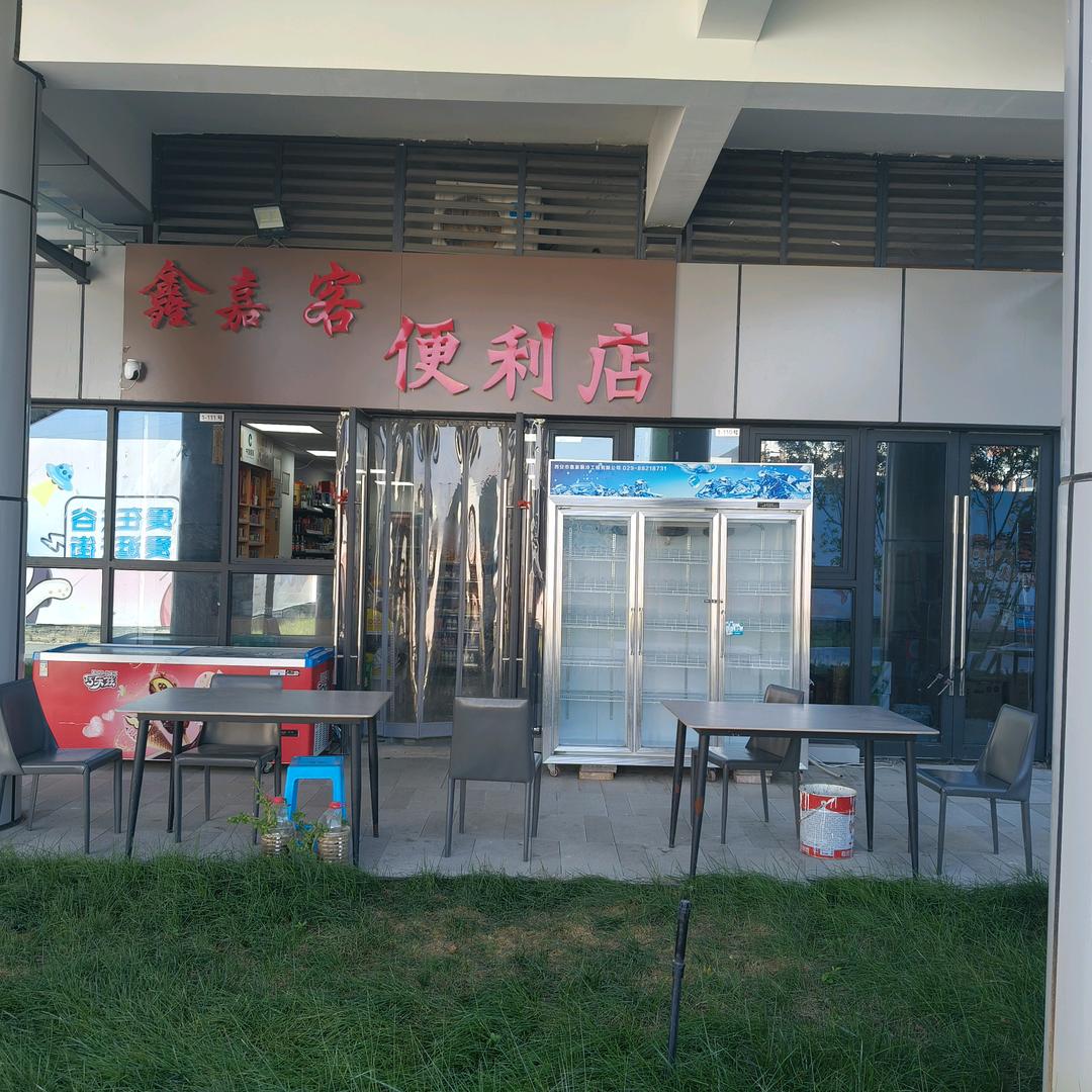 金兔子