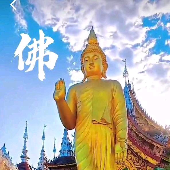 用户名88243266头像