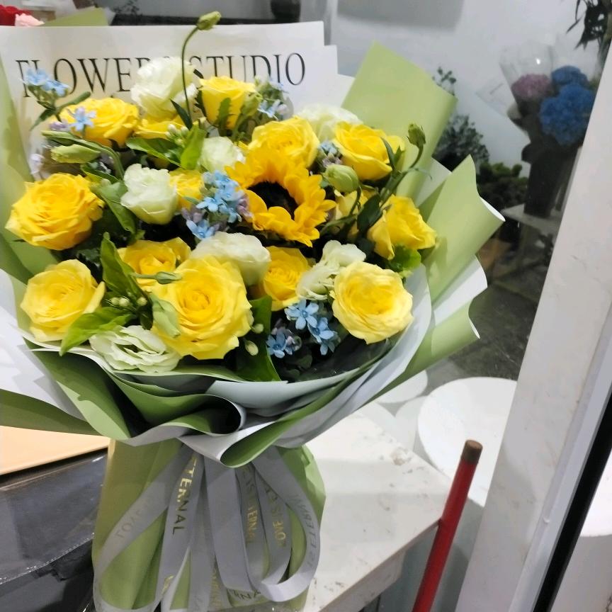 燕子《手机摄影》