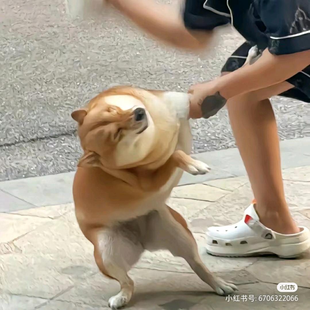 鳕鱼游进板烧堡