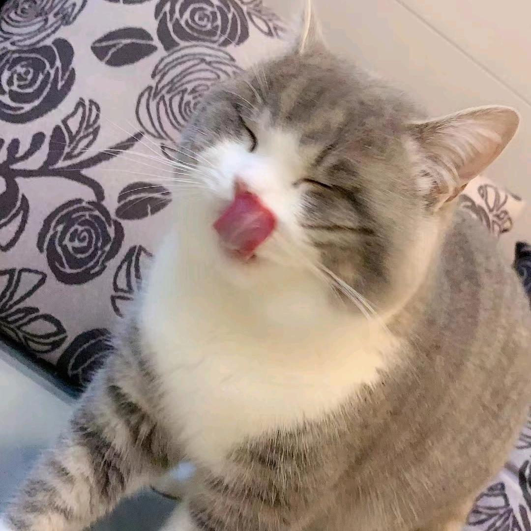 芦柑